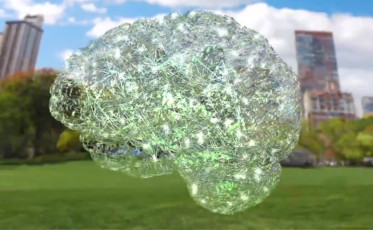 Your Brain Is A Billion Bags Of Water