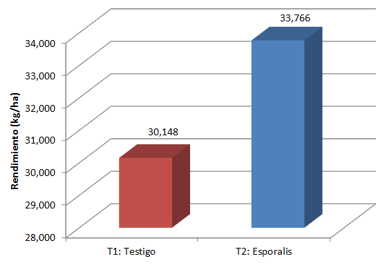 Sobre el rendimiento productivo en cultivos de papa