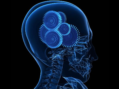 ¿Todo es cuestión de ciencia?