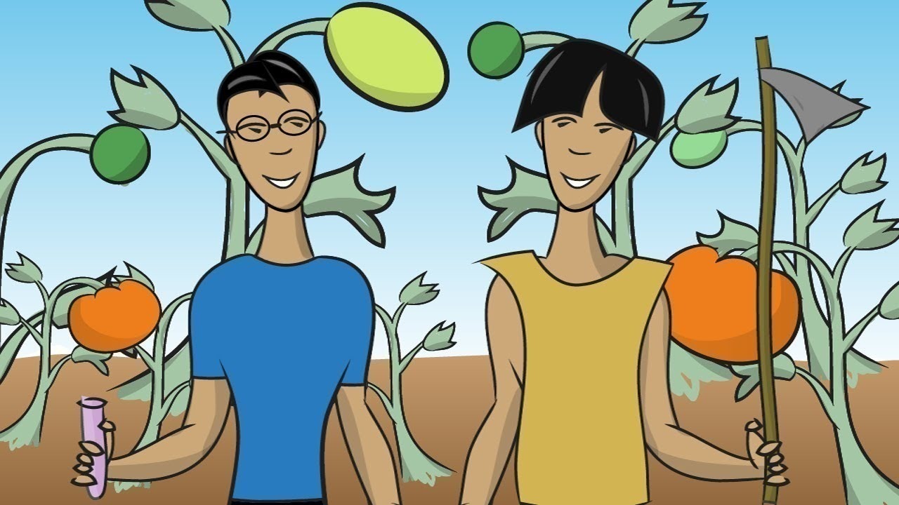 What Is a Genetically Modified Food? – Instant Egghead #45