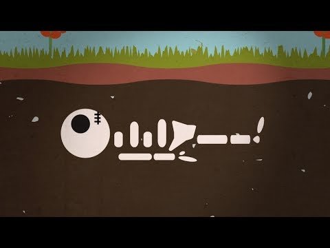 What Happens to Your Body after You Die? – Instant Egghead #65