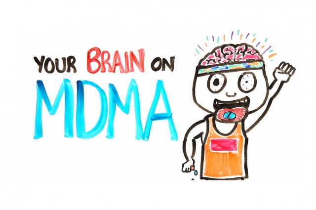 Your Brain On MDMA