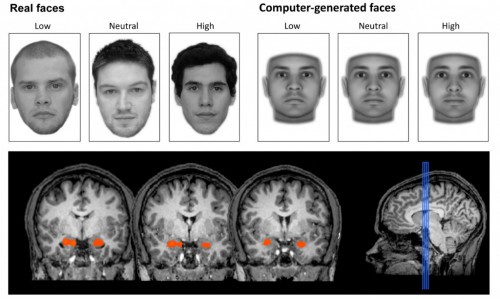 Confiamos o no en milisegundos