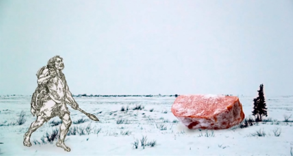 The Story of Frozen Food