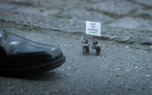 Increíble animación sobre la furia de las abejas contra los pesticidas llama la atención del mundo