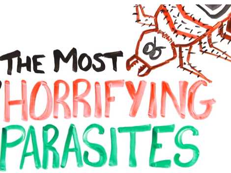 The Most Horrifying Parasites!