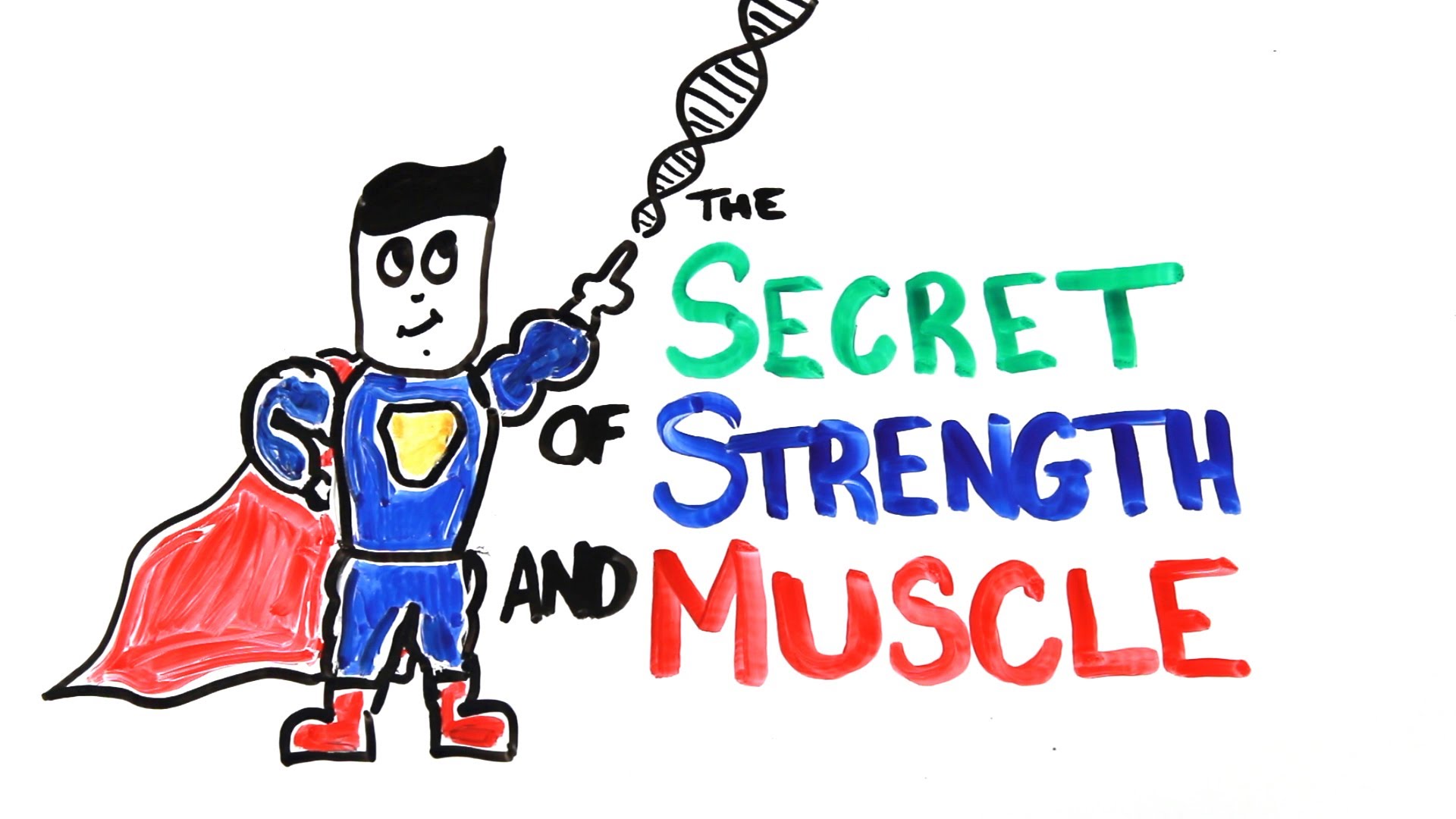 The Scientific Secret of Strength and Muscle Growth