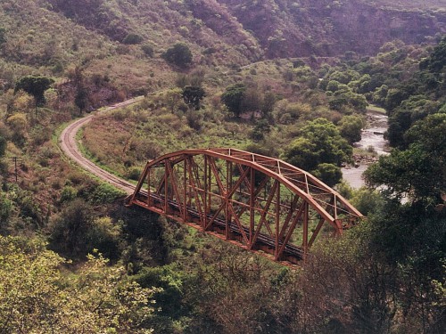 Tan cerca el ejemplo y tan lejos de entender el mercado del arte mexicano
