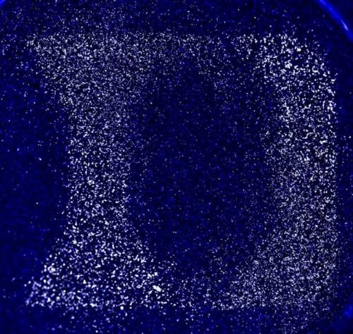 Controlar genes mediante luz