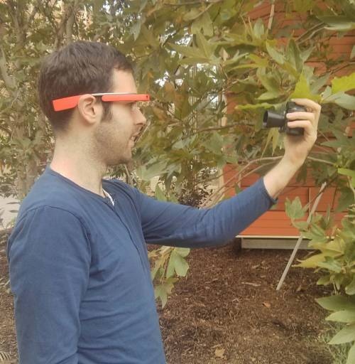 Analizar plantas en segundos gracias a las gafas de Google y a una aplicación especial