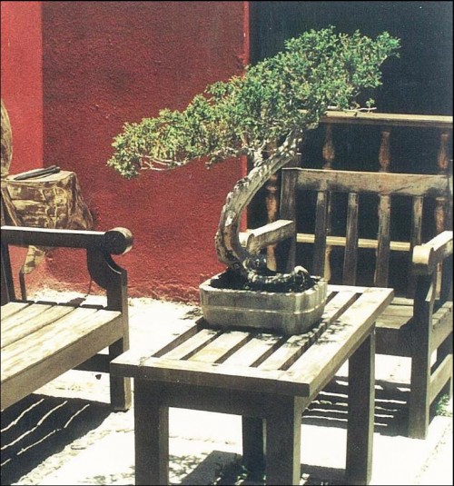 El secreto para coleccionar arte