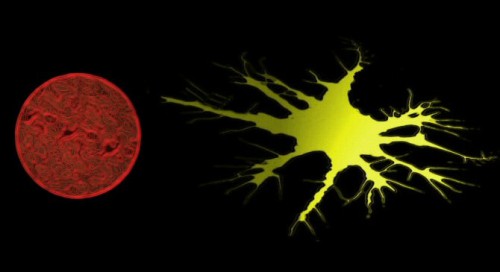 ¿Los virus nos han vuelto más inteligentes?