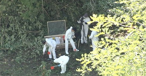 Precisión científica