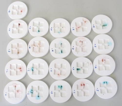 Los retretes de las hormigas