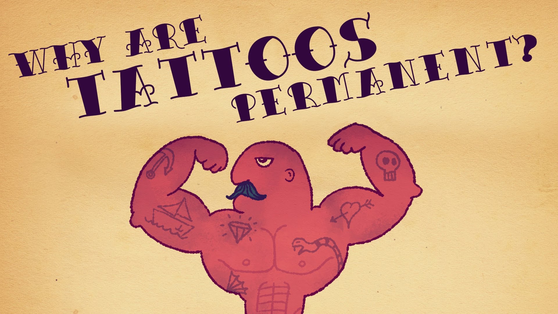What makes tattoos permanent? – Claudia Aguirre