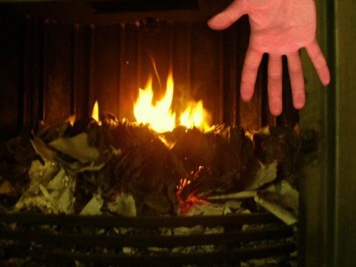 Descubren la región cerebral que regula la intensidad del dolor