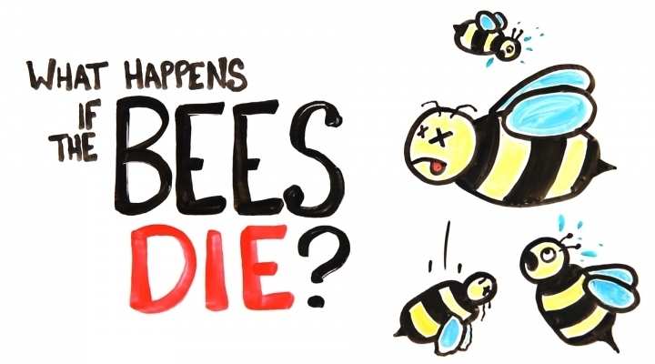 What Happens If All The Bees Die?
