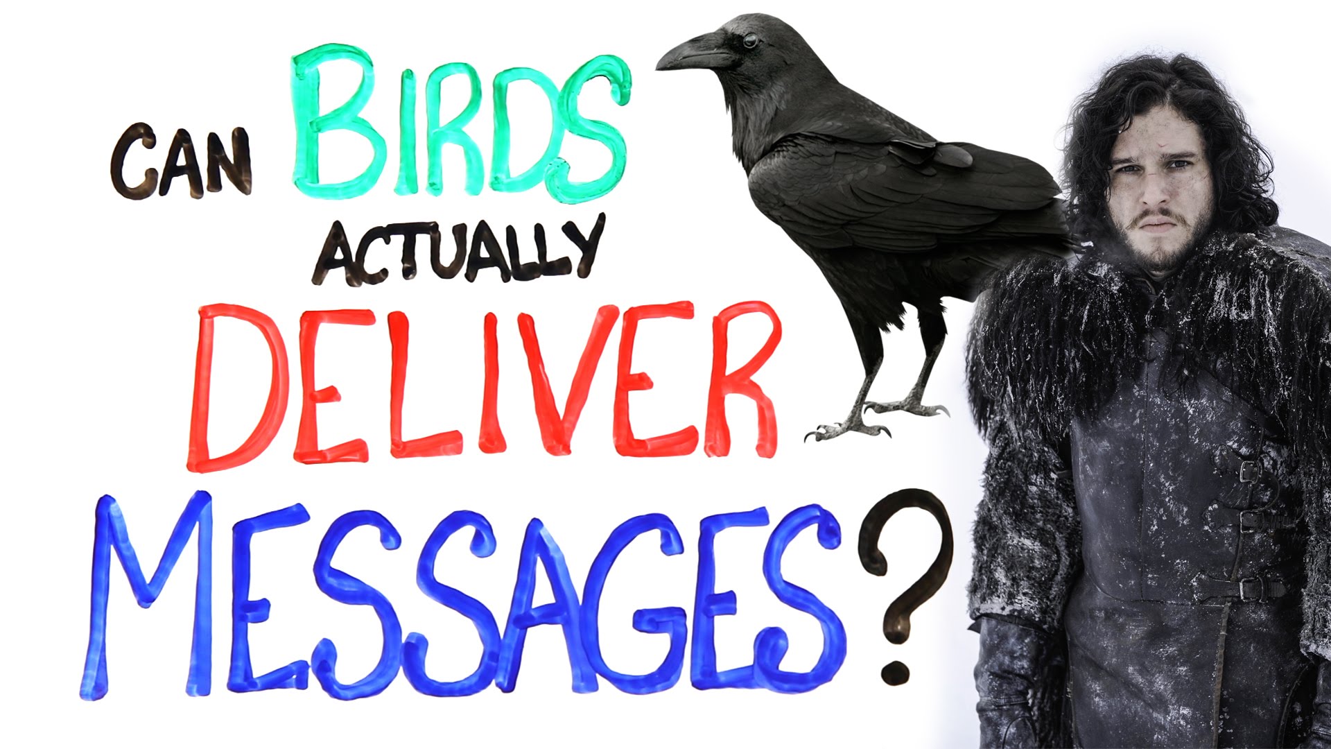 Can Birds Actually Deliver Messages?