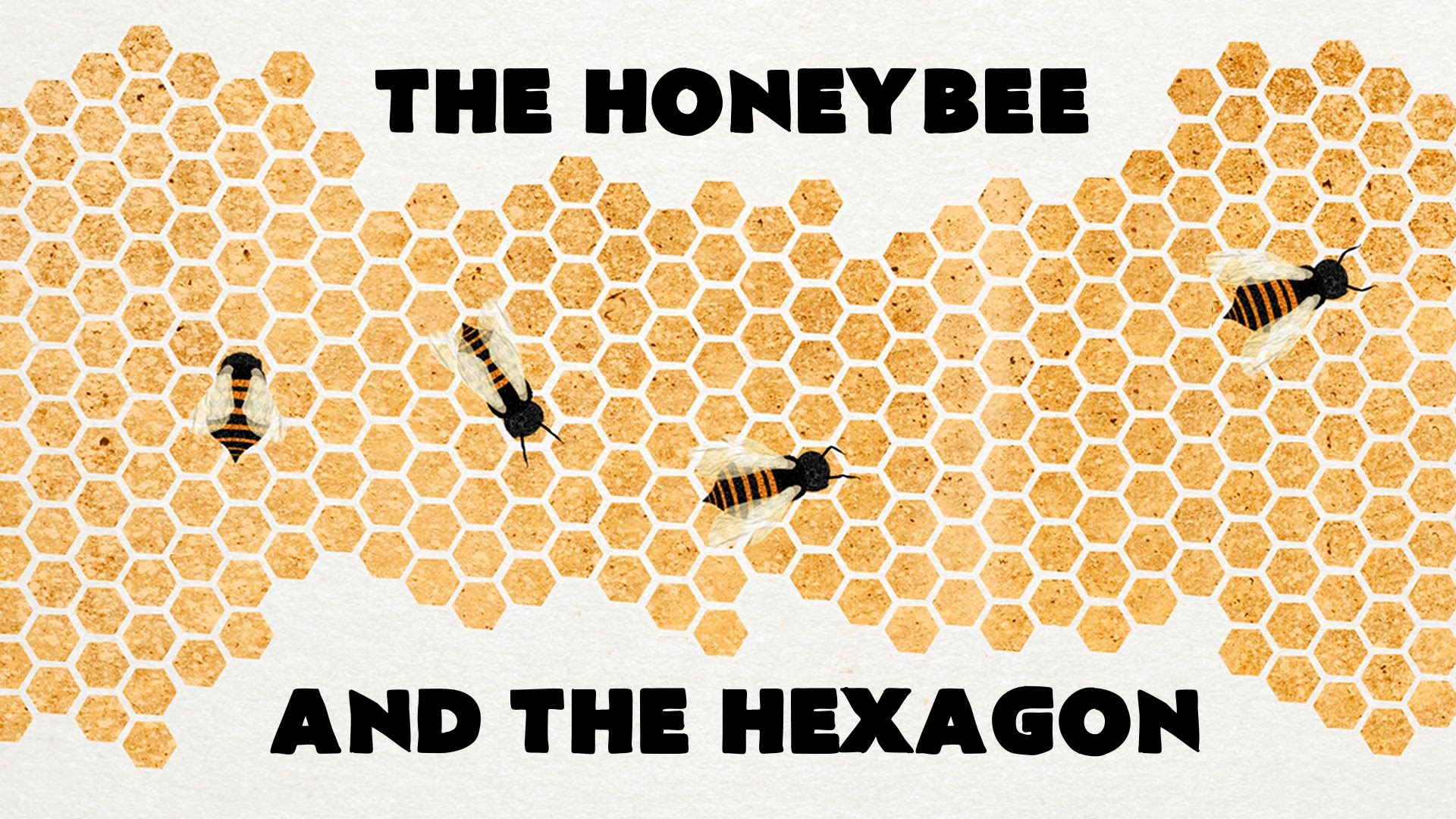 Why do honeybees love hexagons? – Zack Patterson and Andy Peterson