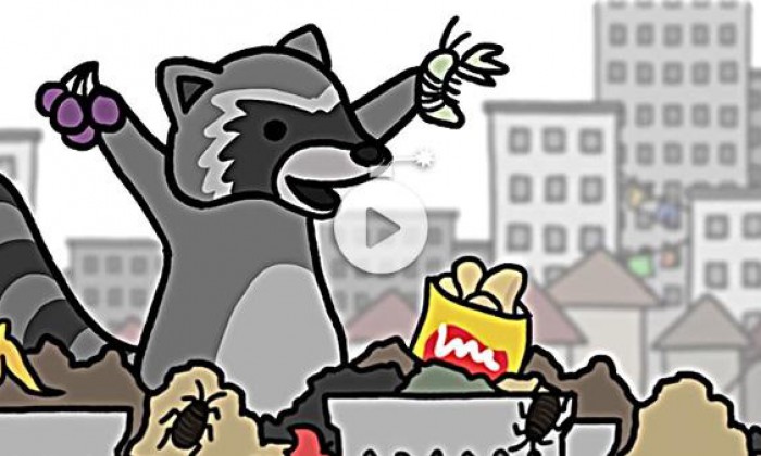 Why do Some Species Thrive in Cities?