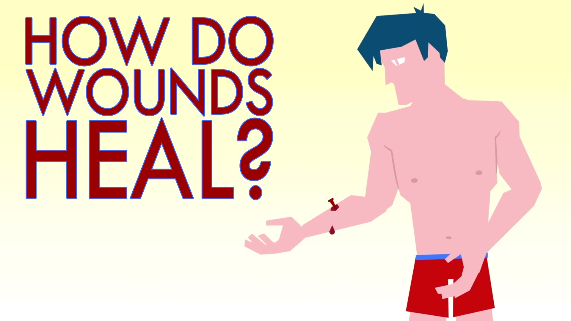 How a wound heals itself – Sarthak Sinha