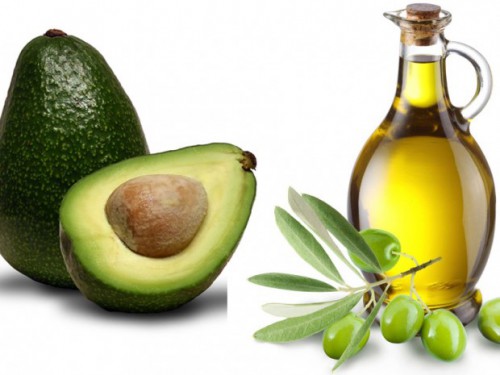 ¿La ciencia de las grasas?