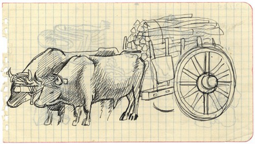 La carreta delante de los bueyes