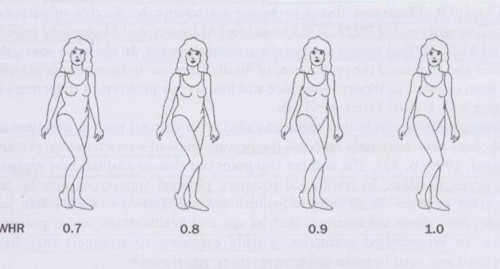 ¿Por qué nos atrae la belleza física de la pareja?