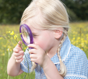 La curiosidad mejora el aprendizaje