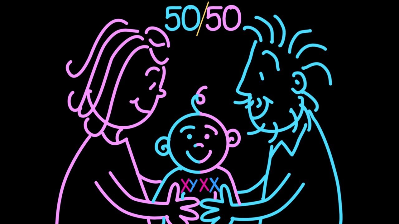 Sex determination: More complicated than you thought – Aaron Reedy