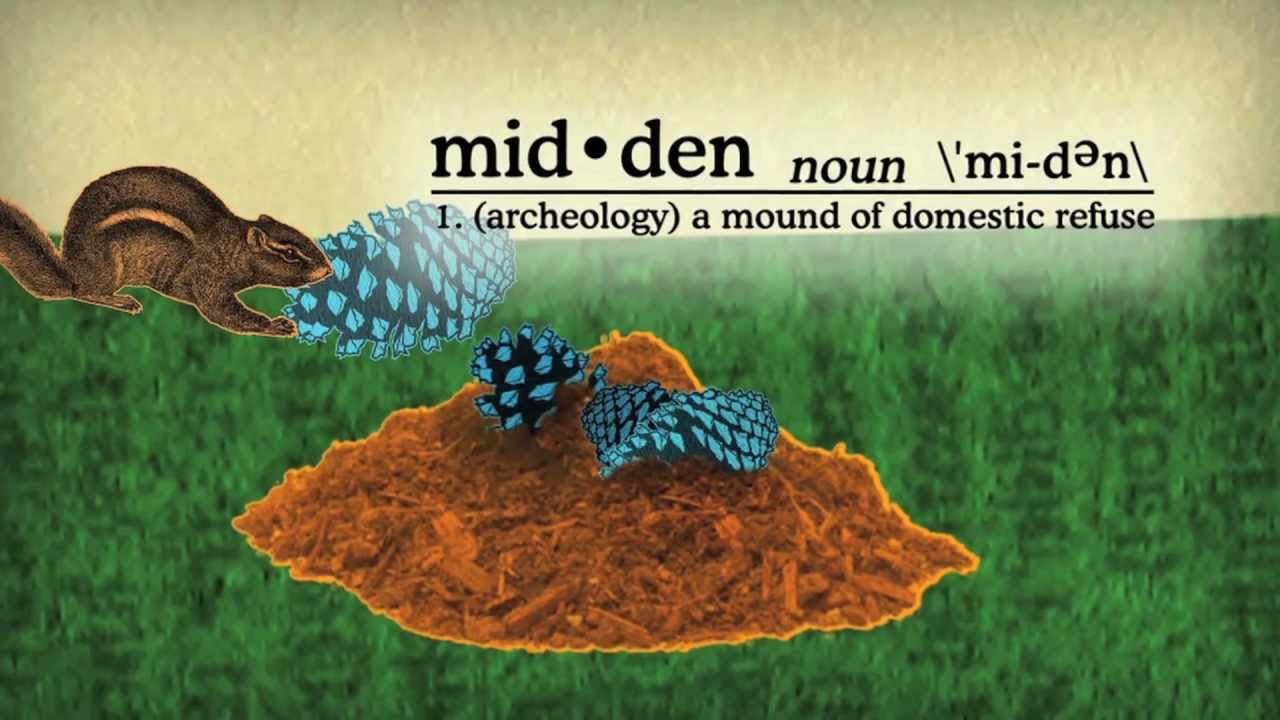 Symbiosis: A surprising tale of species cooperation – David Gonzales