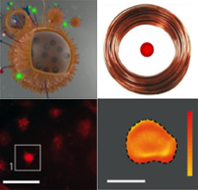 Un nanocalentador ofrece aplicaciones contra el cáncer