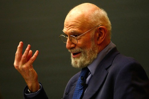 El caballero del cerebro