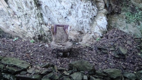 Dos palabras sobre Alfonsito