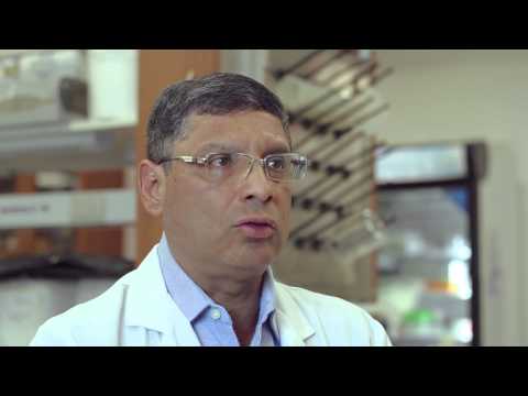 Usan células madre para regenerar cartílago