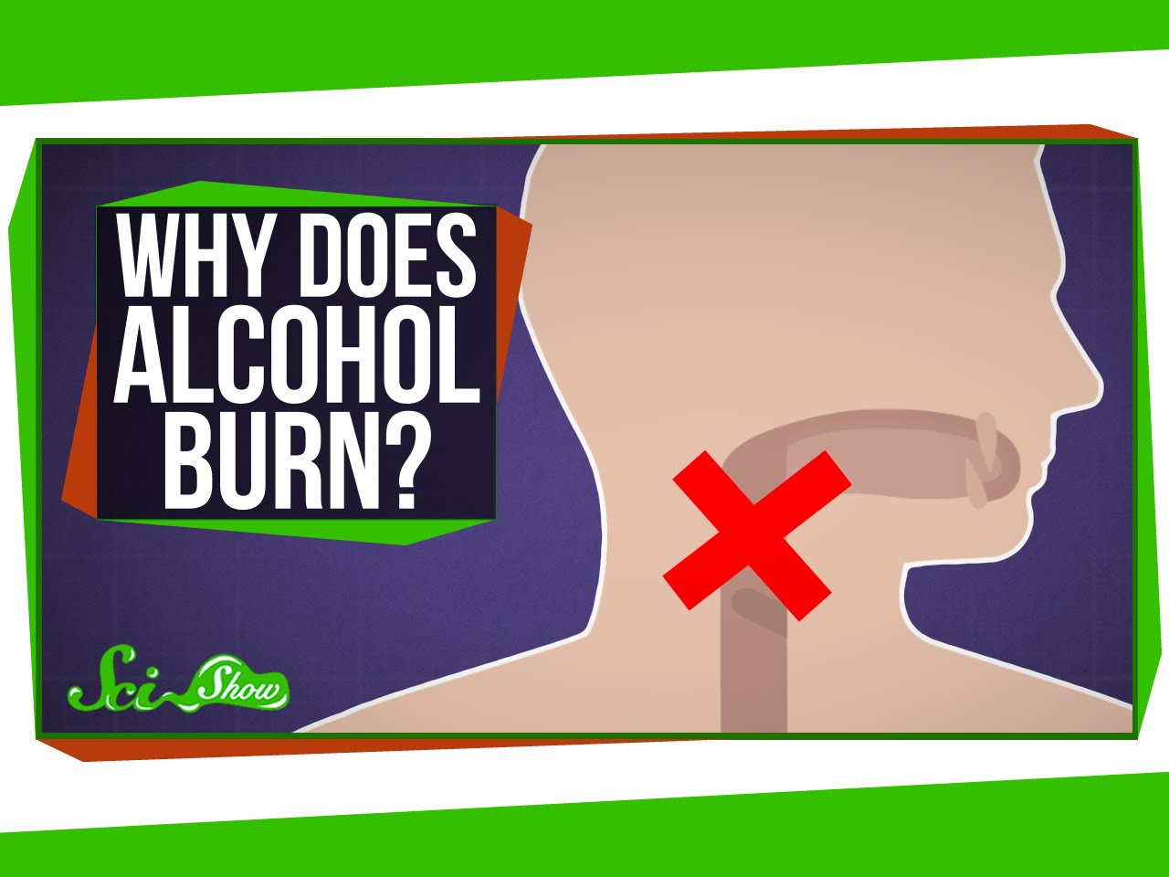 Why Does Alcohol Burn When You Drink It?