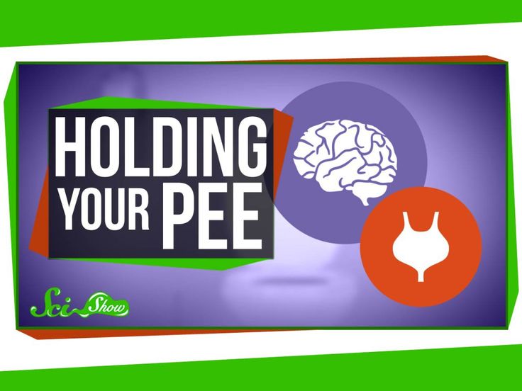 A Simple Explanation for What Happens When a Person Holds Their Pee Too Long