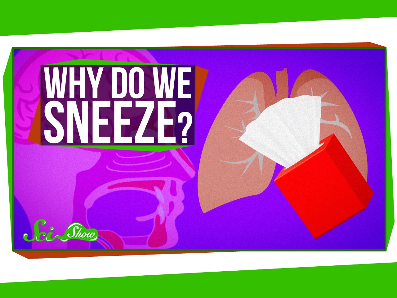 Why Do We Sneeze?