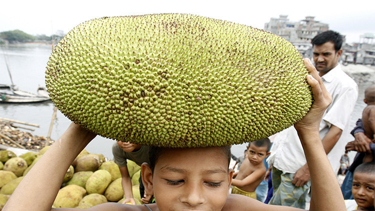 Bióloga: «Una fruta puede ayudar con el problema del hambre en la India, pero nadie la quiere»