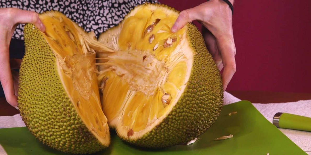 What is jackfruit?