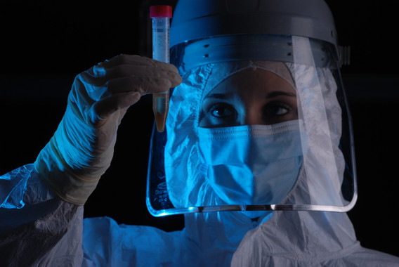 Los agricultores de la Edad de Piedra eran genéticamente diversos