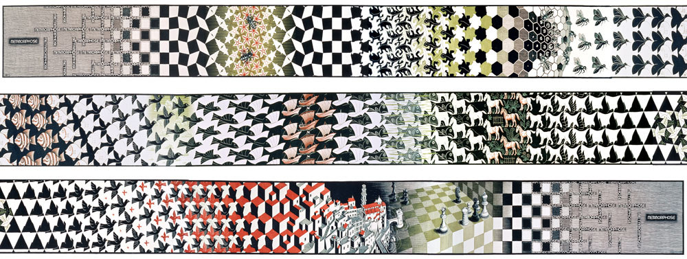 La vida como un extraño bucle de información biológica y social memética