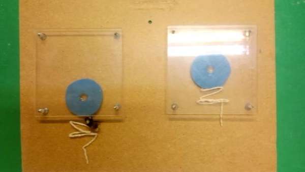 Video Shows Bumblebee Pulling A String To Get A Treat