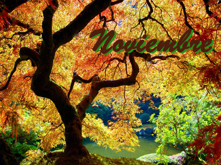 Noviembre en la historia de la UANL