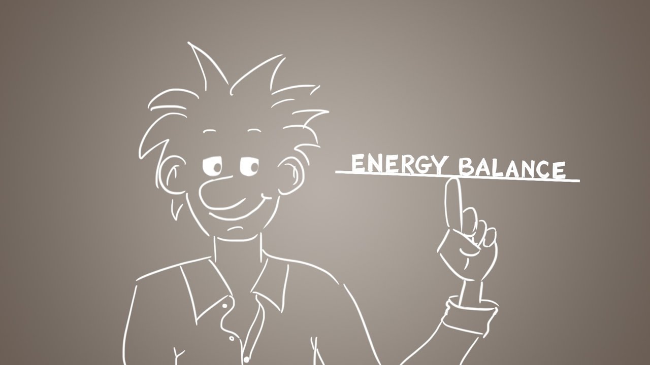 Energy balance explained – get the balance right!