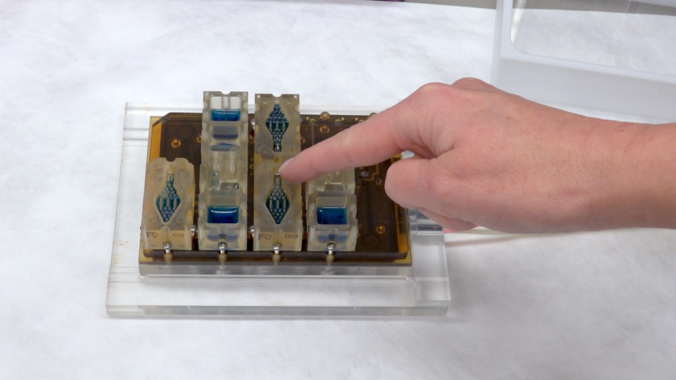 El ciclo menstrual en un dispositivo que cabe en la palma de la mano