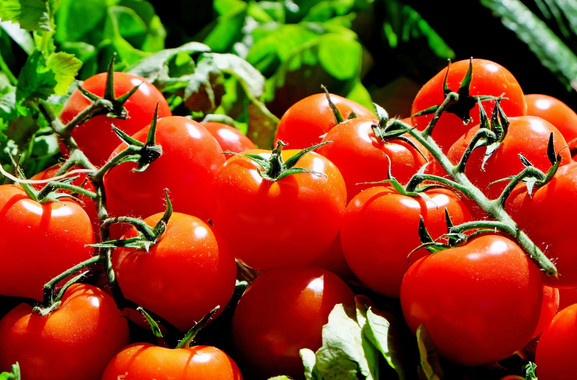 Tomates más rojos, lisos y redondos contra el cáncer de colon
