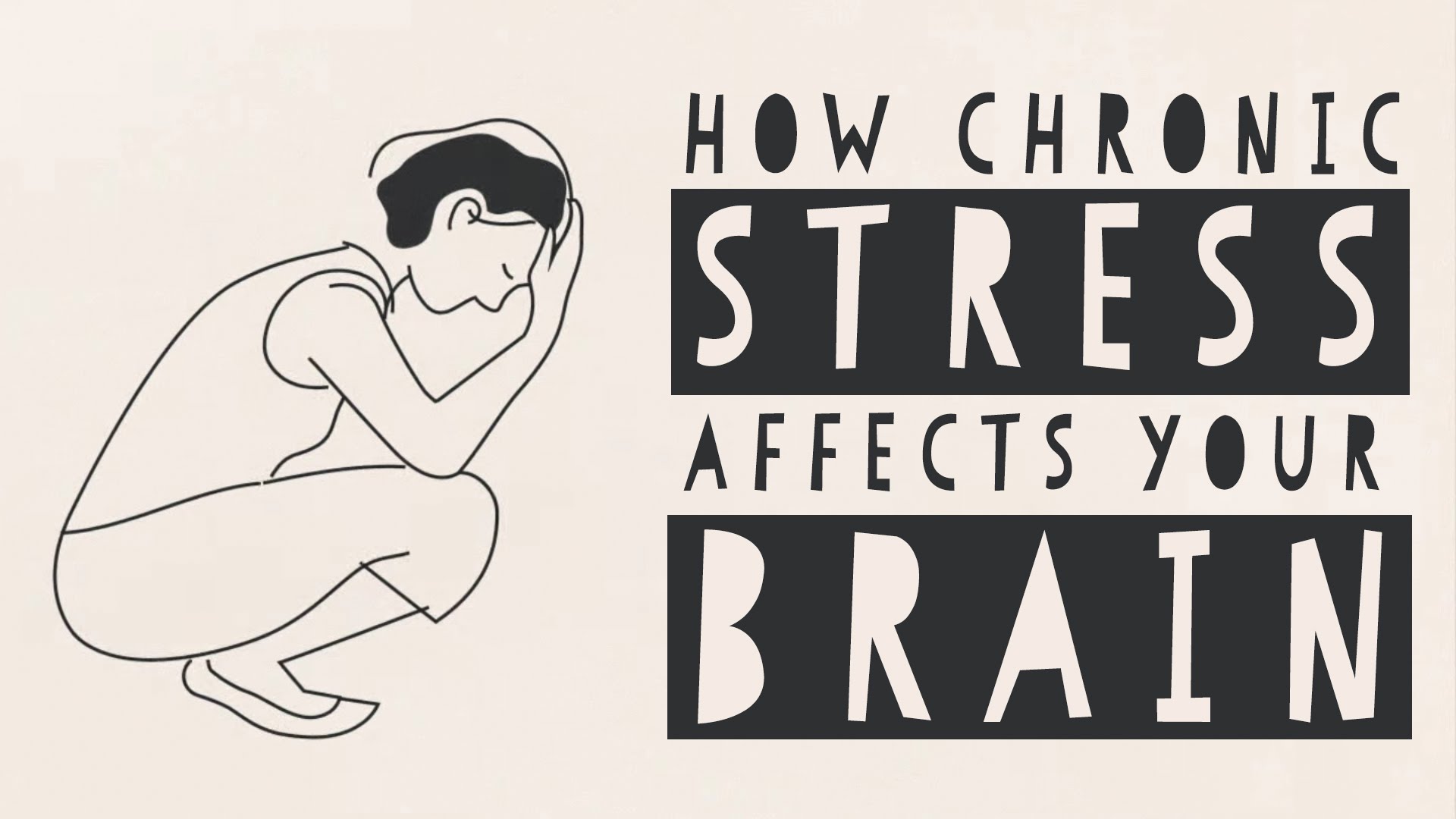 How stress affects your brain – Madhumita Murgia