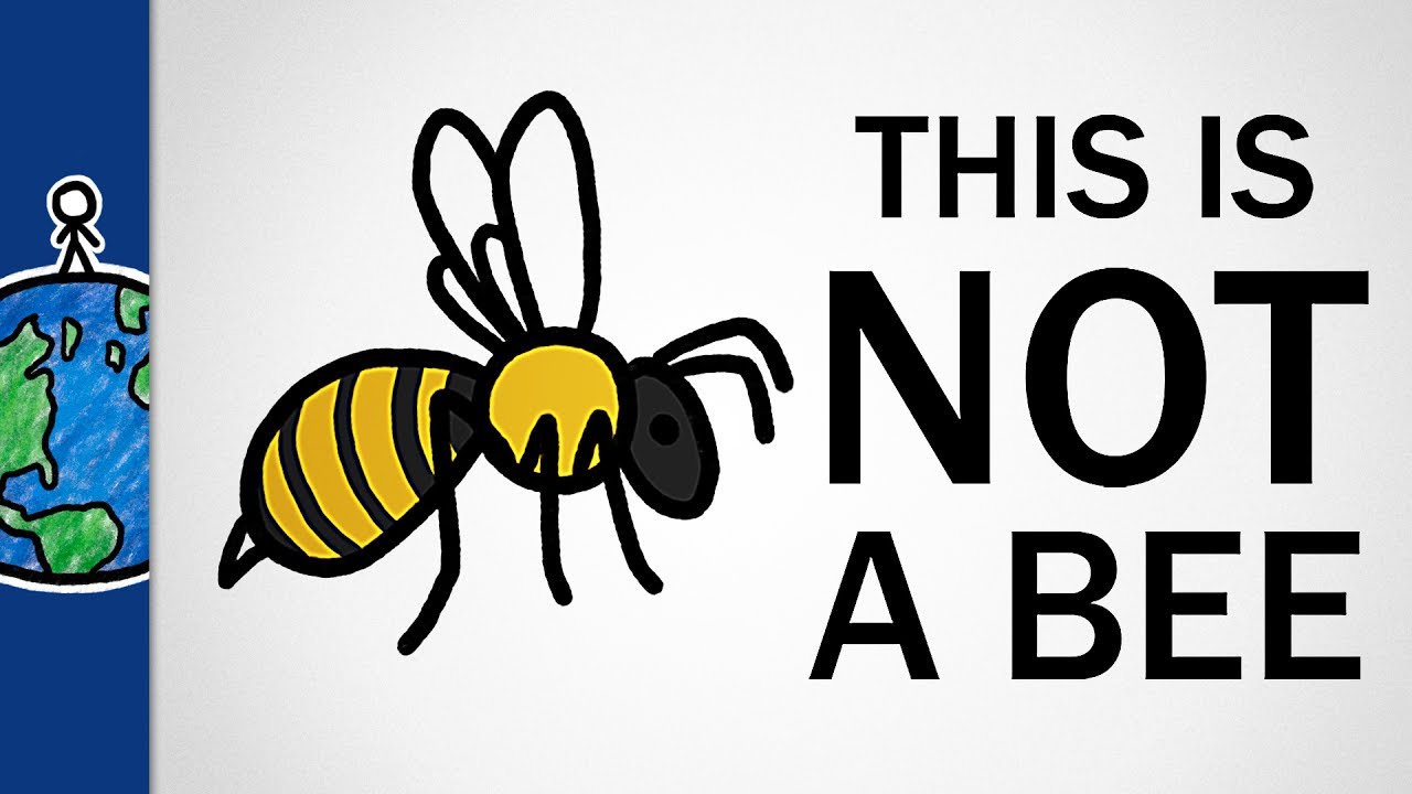 This Is Not A Bee