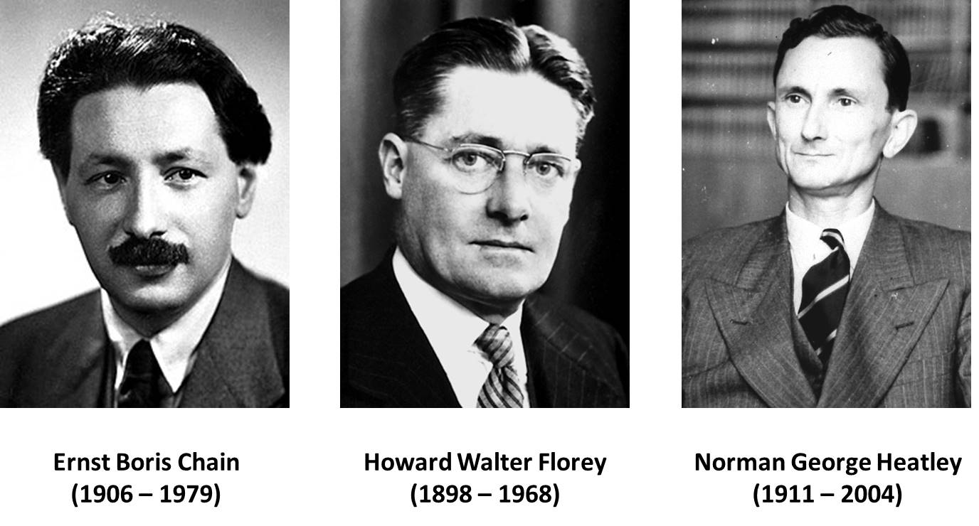 La verdadera historia de la penicilina